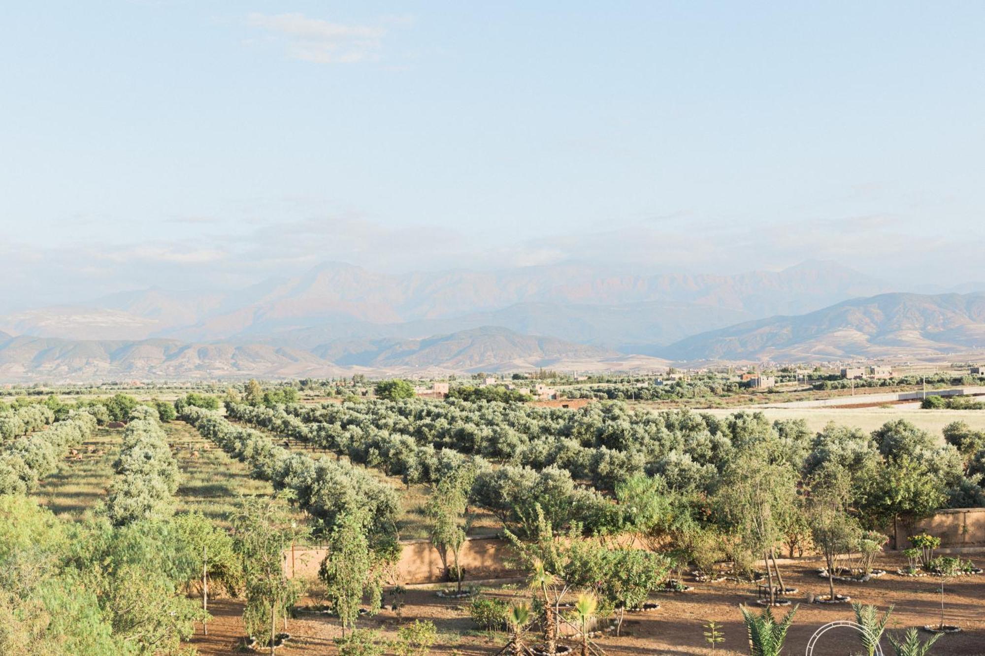 Aït Zat Kasbah Caracalla מראה חיצוני תמונה